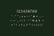 Moonscape Serif Roman Family Font, a Serif Font by UICreative (Thumbnail 7 of 13)