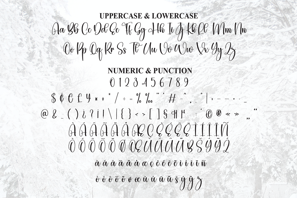 Winterly | Script Font, a Handwritten Font by Scratchones (Photo 7 of 9)
