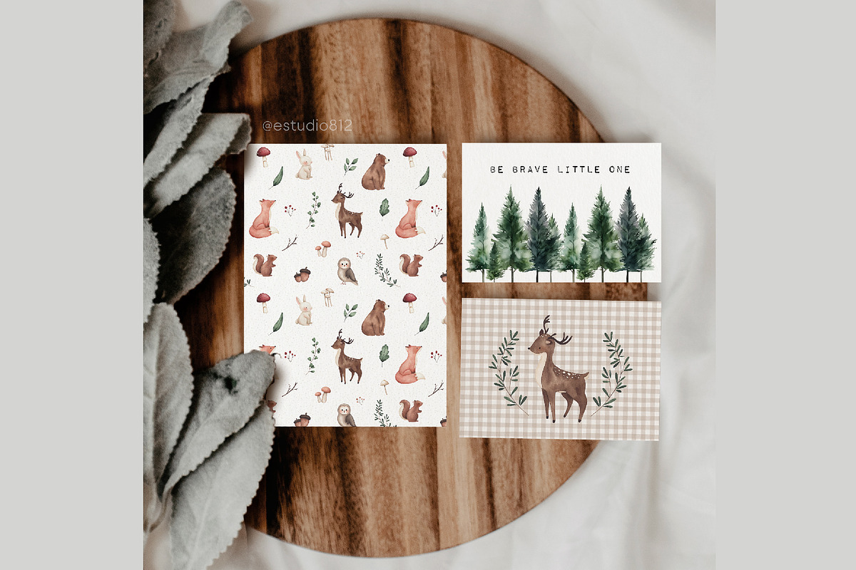 Little Forest watercolor clipart, an Animal Illustration by Estudio 812 (Photo 9 of 9)