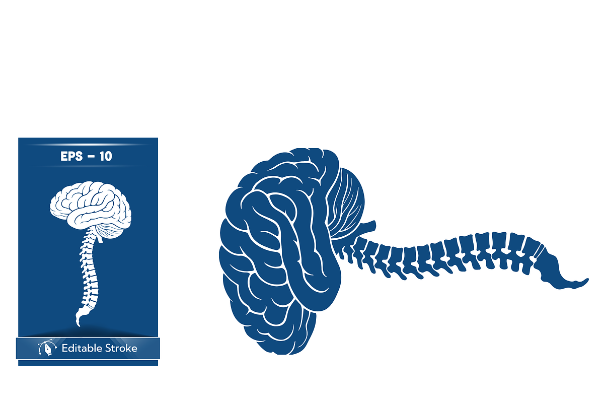 Stylized Spine and Brain Graphic, a Healthcare Illustration by CarWrap design (Photo 1 of 4)