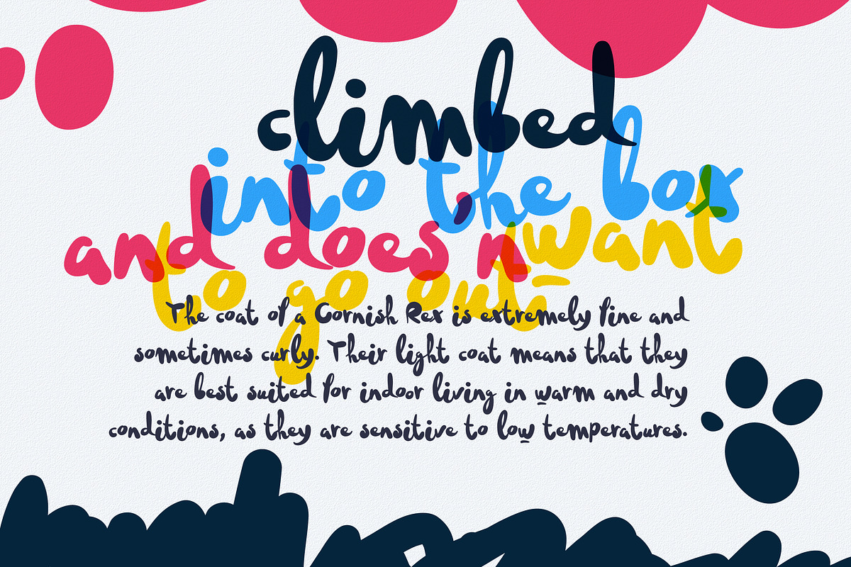Catyyfox fresh & superfunny font preview 4