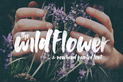 Wildflower Font, a Font by Salt & Pepper Designs (Thumbnail 1 of 7)