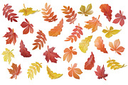 3D Autumn Leaves, a Plants & Tree 3D Model by Hannet (Thumbnail 1 of 5)