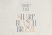Thorn & Tale – A Refined Serif Font, a Serif Font by VP Fonts (Thumbnail 19 of 30)