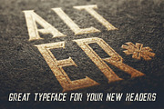 Alter - Vintage Style Font, a Serif Font by JumboDesign (Thumbnail 4 of 5)