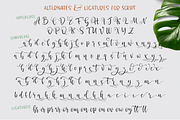 Sugar Cake, a Script Font by Larin Type Co. (Thumbnail 13 of 15)