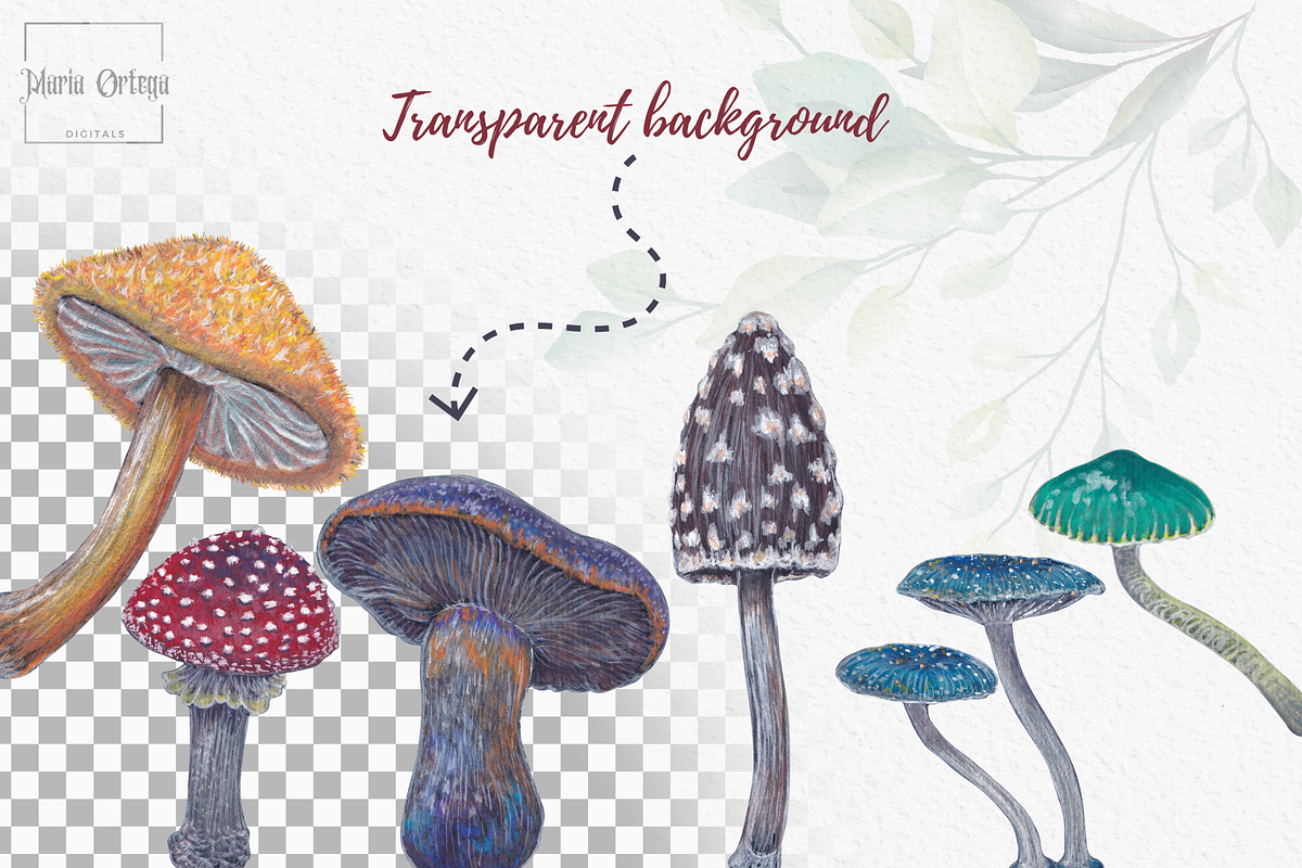 Watercolor and Gouache Mushrooms, an Illustration by MariaOrtegaDigitals (Photo 2 of 6)