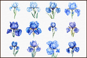 Birthday Flower Blue Iris Clipart Se, an Illustration by Sublimation Artist (Thumbnail 3 of 6)