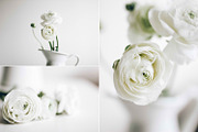 Ranunculus and blooming branches, an Arts & Entertainment Photo by Alena Ermakova (Thumbnail 3 of 3)