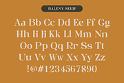 Baleny Elegant Font Duo, a Serif Font by Craft Supply Co. (Thumbnail 11 of 12)
