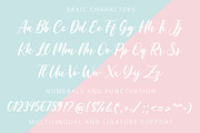 Brush Font Bundle, a Script Font by Flat Icons (Thumbnail 3 of 16)