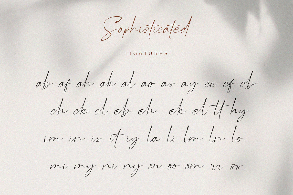 Roman Sophisticated Font Duo, a Serif Font by BrandSemut (Photo 19 of 20)