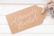 Fairy Lavender - Monoline Font, a Script Font by Balpirick Studio (Thumbnail 3 of 7)