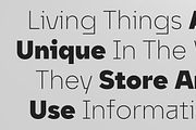 Unytour Display, a Sans Serif Font by NicolassFonts (Thumbnail 3 of 7)