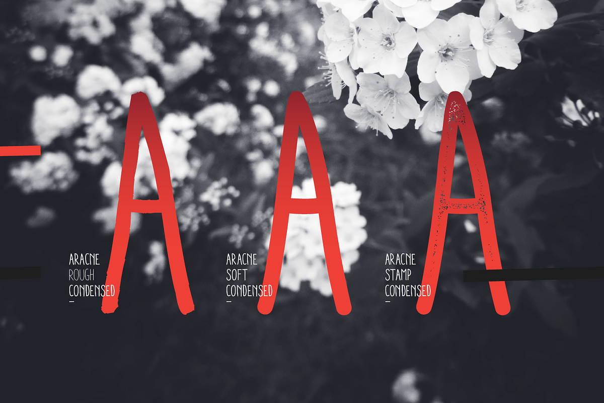 Aracne Condensed preview 3