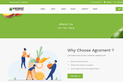 Agroment Organic Food HTML Template, a HTML Template by techboot (Thumbnail 3 of 8)