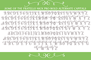Sale-Fratello Nick Pro Bold, a Font by Debi Sementelli (Thumbnail 2 of 3)