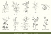 Botanical Floral Line Art Collection, a Decorative Illustration by AW Studios (Thumbnail 3 of 9)