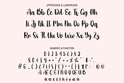 Body | Script Font, a Script Font by Scratchones (Thumbnail 3 of 8)