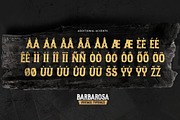 BARBAROSA - Vintage Typeface, a Serif Font by Gassstype (Thumbnail 7 of 8)