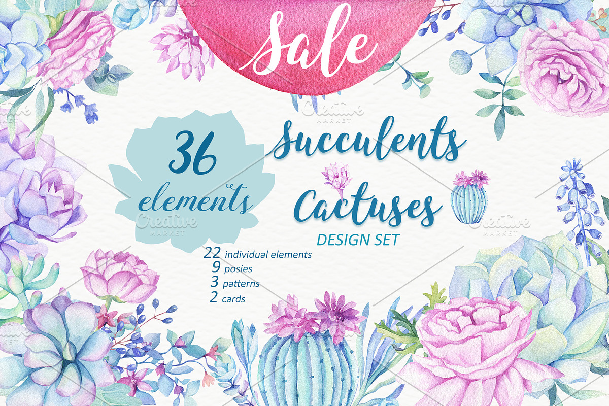 SALE! Succulents & Cactuses, an Illustration by Irina Diasli (Photo 1 of 8)