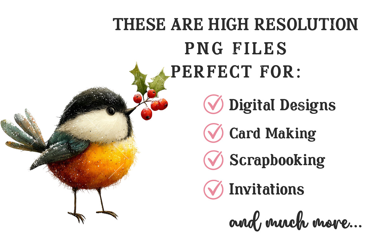 Christmas Funny Birds Clipart, an Illustration by OK Design (Photo 4 of 6)