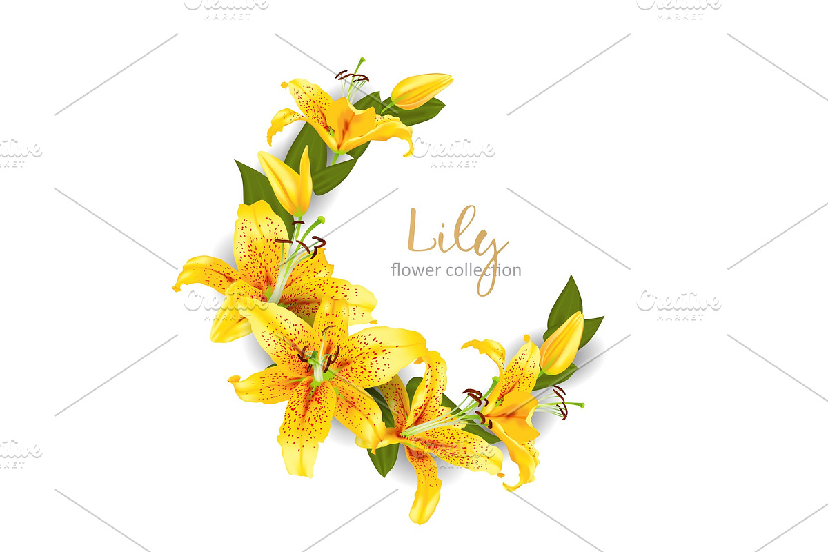 Wedding invitation with lily flowers, a Decorative Illustration by irska