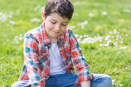 Boy sitting on grass picking daisies in a sunny park., a Person Photo by RF Images