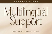 Qaflone Modern Minimalist Serif, a Serif Font by Storytype Studio (Thumbnail 12 of 15)