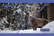 Snow Overlay, a Texture Graphic by BazziBa♥ (Thumbnail 2 of 9)