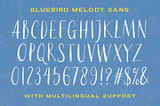 Bluebird Melody - Organic Font Duo, a Handwritten Font by Letterhend Studio (Thumbnail 7 of 9)