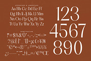 Qasntel Elegant Serif Display, a Serif Font by timelesstype.co (Thumbnail 19 of 20)