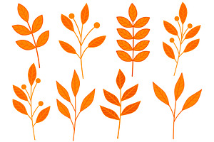 Autumn Plants. Orange Plants. Branch