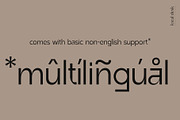 Altmark – a very unique sans, a Sans Serif Font by Local Desk Designstudio (Thumbnail 4 of 23)