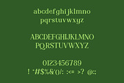 Qaeris Minimal Luxury Serif Typeface, a Serif Font by AN Productions (Thumbnail 6 of 7)