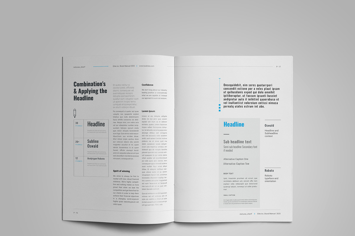 Brand Manual, a Brochure Template by Elite_Standard (Photo 4 of 8)
