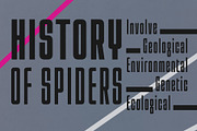 Araneo Condensed, a Sans Serif Font by Stanley fonts (Thumbnail 2 of 12)