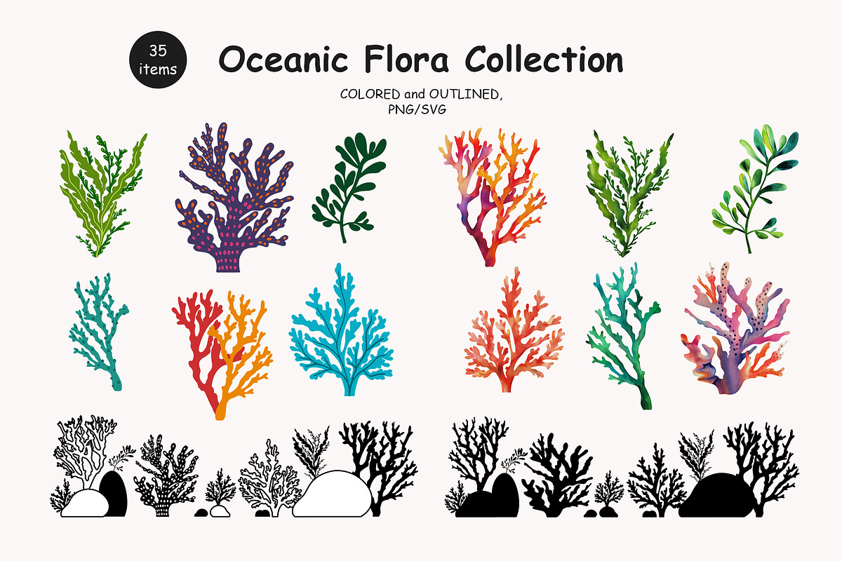 Algae & Coral Vector + Watercolor, an Object Illustration by IrenKlm (Photo 1 of 4)