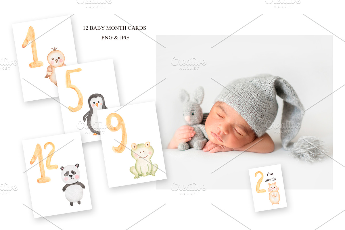 Watercolor Animal Numbers Set, an Animal Illustration by MayaNavits (Photo 4 of 8)