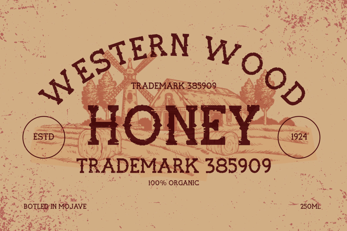 Rockrough Distressed Slab Serif Font, a Slab Serif Font by Vadovastd (Photo 3 of 7)