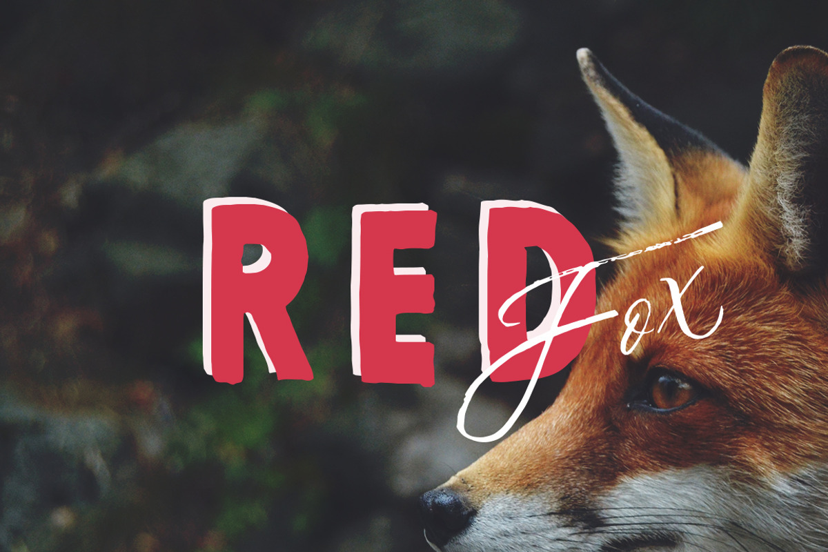 Bullstander 6 Font Set - 60% OFF, a Script Font by Dirtyline Studio (Photo 15 of 16)