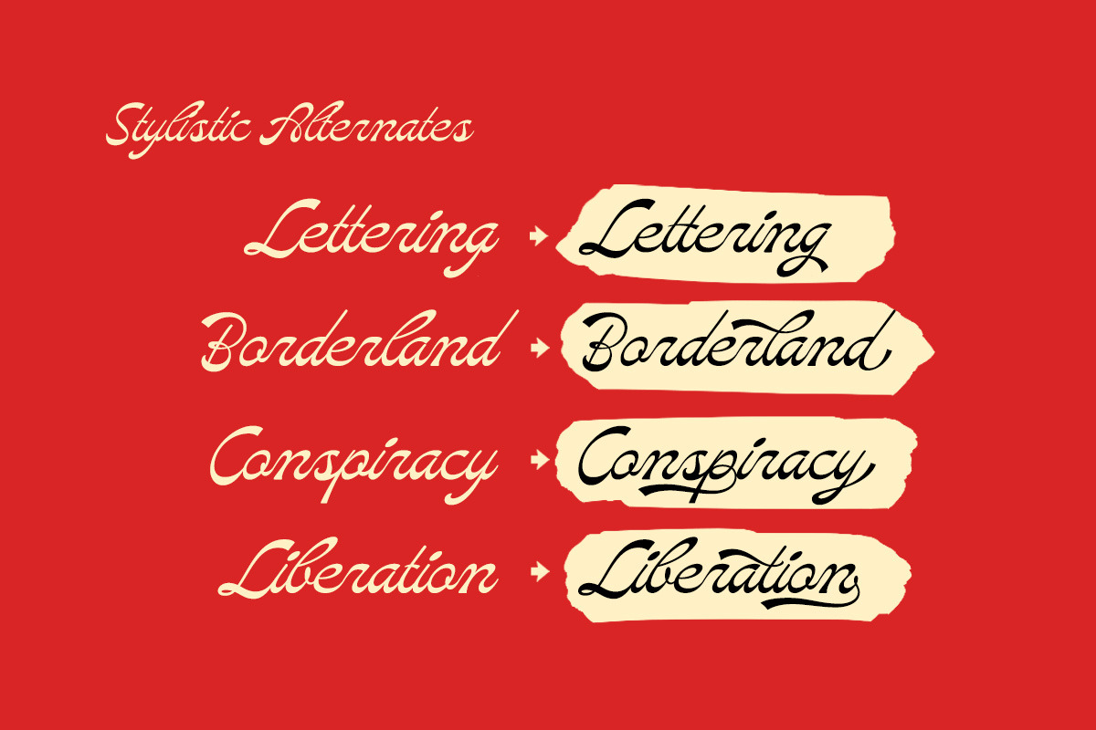 Marlean Reversed Script, a Script Font by Letterhend Studio (Photo 5 of 9)