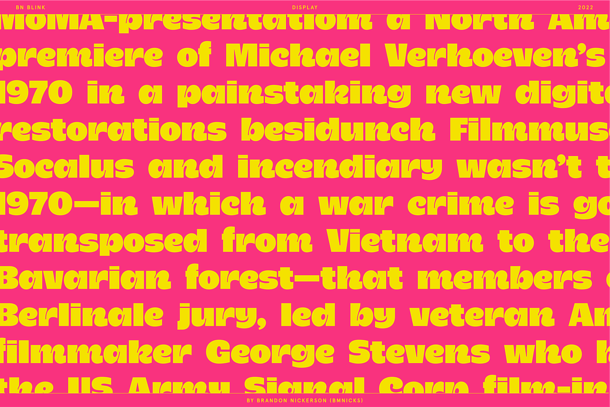 BN Blink, a Sans Serif Font by Bnick (Photo 10 of 16)