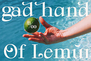 Goat & Qalvigo Modern Serif Font, a Serif Font by Storytype Studio (Thumbnail 8 of 15)
