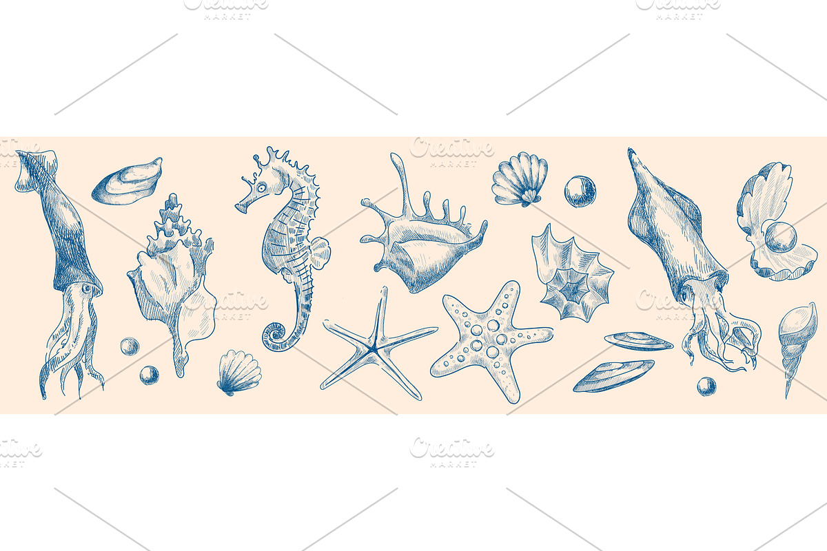 Seashells and marine inhabitants, an Illustration by art PVP - market