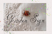 Soft Omen: Delicate Script Font, a Script Font by Mneme (Thumbnail 6 of 9)