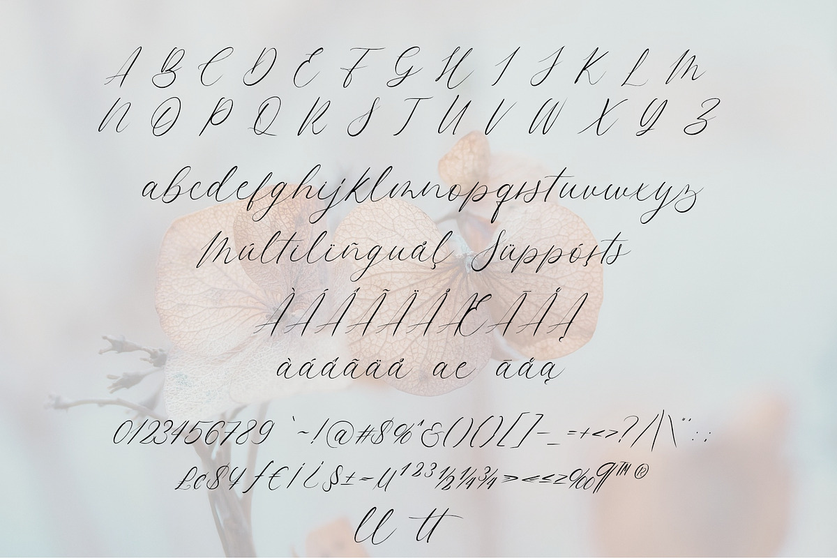 Homelines Font, a Script Font by Jackgridden (Photo 8 of 11)