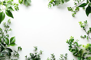 99 Frames of green leaves, a Nature Photo by Handmadefont (Thumbnail 42 of 100)