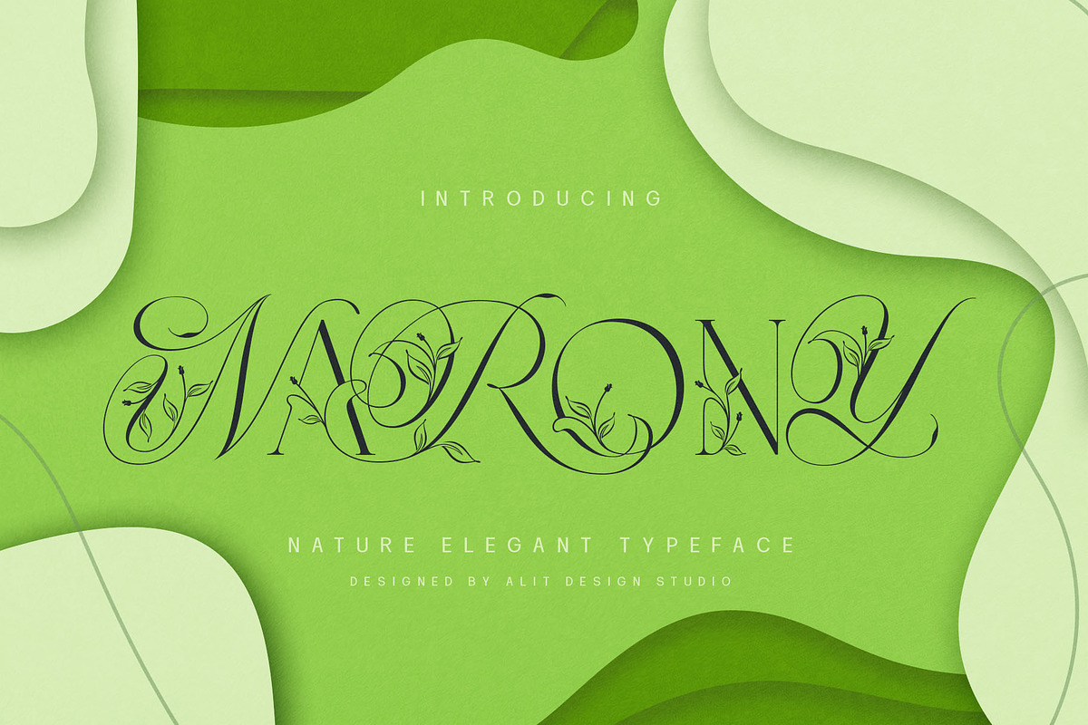 Narony Natural Typeface, a Sans Serif Font by alit design (Photo 9 of 20)