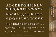 Algirae - Modern Ornamental Serif, a Serif Font by Say Studio (Thumbnail 7 of 10)